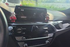 2020 BMW 5 Series 2020 2.0T AT 525Li MSport Pkg #13