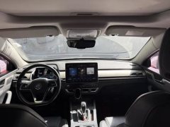 2019 BYD Qin Pro 2018 1.5T AT Smart ConnectFeng Yao #6