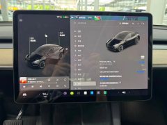 2021 Tesla Model Y 2021StandardBattery lifeRWDEdition #14