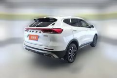 2022 Haval H6 2021 1.5T AT China tideUrbanEdition #3