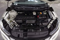 2019 Nissan Qashqai 2019 2.0 AT Luxury #7
