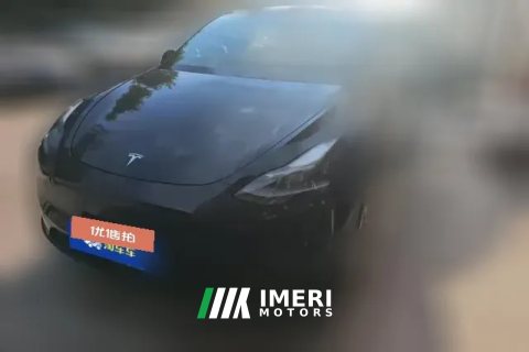 2021 Tesla Model Y 2021StandardBattery lifeRWDEdition