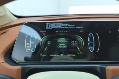 2023 Ora Good Cat 2023 401KmStandardBattery life Luxury LFP #14