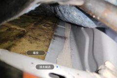 Left Rear Carpet