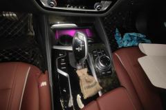 2022 BMW 5 Series 2022 Facelift 525Li AT MSport Pkg #16