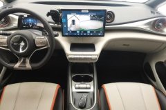2022 BYD Dolphin 2021 405km Fashion #16