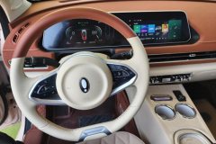 2025 Ora Good Cat 2024 401km Luxury #12