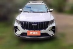 2022 Geely Auto Vision X6 2021 PRO AT 1.4T Premium #2