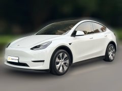 2021 Tesla Model Y 2021Long Rangeall wheel driveEdition 3D7 #1