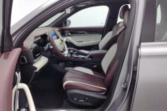 2022 Geely Auto Xingyue L 20212.0TD DCT EVO2WDPremium #13