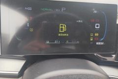 2023 BYD Qin Plus 2023 Champion DM-i 120KMLeading #14