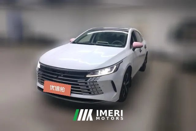 2024 BYD Destroyer 05 2023 Champion 1.5L AT DM-i 120KM Honor