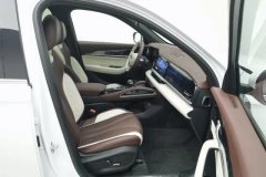 2022 Geely Auto Xingyue L 2021 2.0TD AT DCT EVO2WDSmart Premium #22