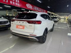 2022 Haval H6 2021 1.5T AT China tideChampion #6
