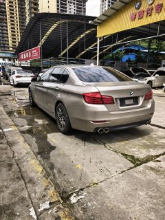 2015 BMW 5 Series 2014 2.0T AT 525LiLeading #6