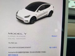 2021 Tesla Model Y 2021Long Rangeall wheel driveEdition 3D7 #2