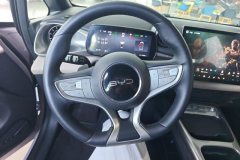 2025 BYD Dolphin 2025 Smart Drive 410km Fashion #15