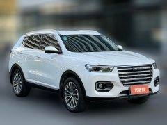 2019 Haval H6 2020 1.5T AT PlatinumChampion #3