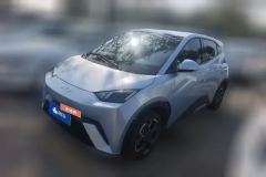 2024 BYD Seagull 2024 Glory 305KM freeEdition #1