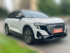 2023 Audi Q5 e-tron 2022 40 e-tron star shine brocade suit day by dayEdition #2