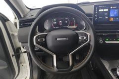2022 Haval Chitu 2022 Power Enjoy 1.5T AT Copper Rabbit #15