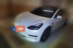 2020 Tesla Model 3 2020 Facelift StandardBattery lifeRWDUpgradeEdition EV #1