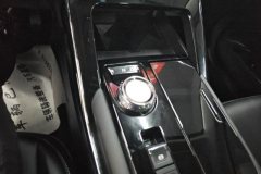 2023 Haval H6 2022 No.3generation 1.5T AT 2WDMax #16