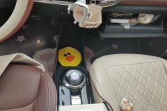 2025 Wuling Motors Wuling Bingo 2024 333km Joy #15