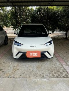2023 BYD Seagull 2024 Glory 305km vitalityEdition #6