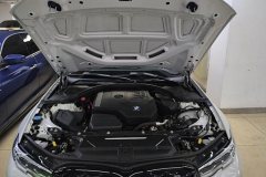 2022 BMW 3 Series 2022 Facelift 325Li MSport Pkg #10