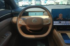 2025 Dongfeng Fengshen Dongfeng Fengshen L8 2025 185KMdreamEdition #15