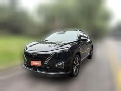 2024 Dongfeng Fengshen Dongfeng Fengshen Haohan 2024 1.5T DH-i Luxury Glory Edition #1