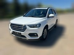2019 Haval H6 2018 1.5T AT Blue LabelSportElite FWD #1