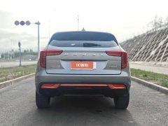 2021 Haval Chulian 2021 1.5T ATLarge3Edition #8