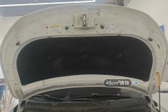 Engine Hood