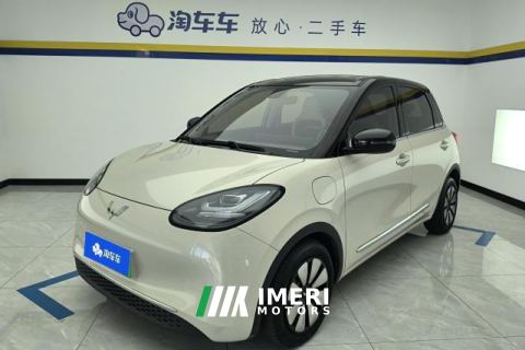 2024 Wuling Motors Wuling Bingo 2023 410kmLingxiExclusive