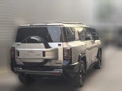2024 Fangchengbao Bao8 2025 ZhiyongFlagship 7Seat #8