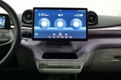 2022 BYD Dolphin 2021 401km knightEdition #16