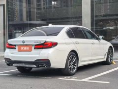 2021 BMW 5 Series 2022 2.0T AT 530Li M Sport Pkg4WD #8