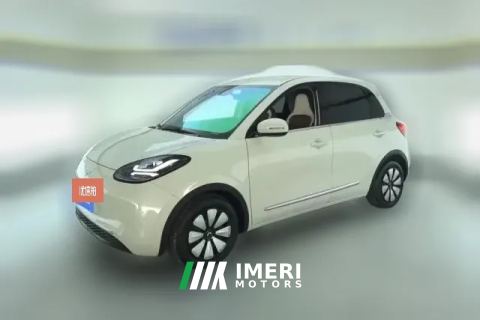 2024 Wuling Motors Wuling Bingo 2023 203KM Comfort