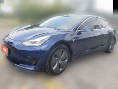 2020 Tesla Model 3 2020 StandardBattery lifeRWDUpgradeEdition #1