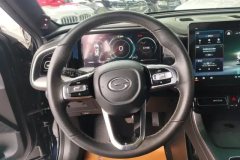 2022 GAC Trumpchi Trumpchi GS8 2022 PilotSeries 2.0TGDI AT 2WDLuxurySmart Connect（6Seat） #15