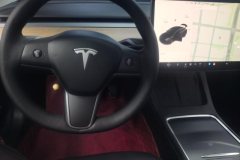 2021 Tesla Model 3 2021 StandardBattery lifeRWDUpgradeEdition #12