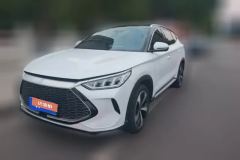 2022 BYD Song Plus New Energy 2021 1.5L AT DM-i 51KM Honor #1