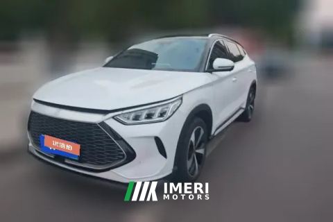 2022 BYD Song Plus New Energy 2021 1.5L AT DM-i 51KM Honor