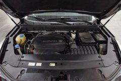 2019 GAC Trumpchi Trumpchi GS8 2020 2.0T AT 390TLuxurySmart Connect7Seat FWD #7