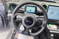 2025 BYD Dolphin 2024 Glory 420km Fashion #15