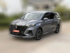 2022 Roewe iMAX8 2022 2.0T AT 400TGI GatheringEdition #1
