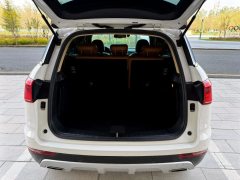 2016 Haval H6 Coupe 2016 Blue Label 1.5T MT 2WDElite #12