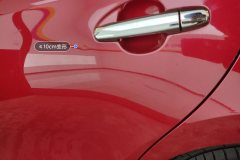 Left Rear Door